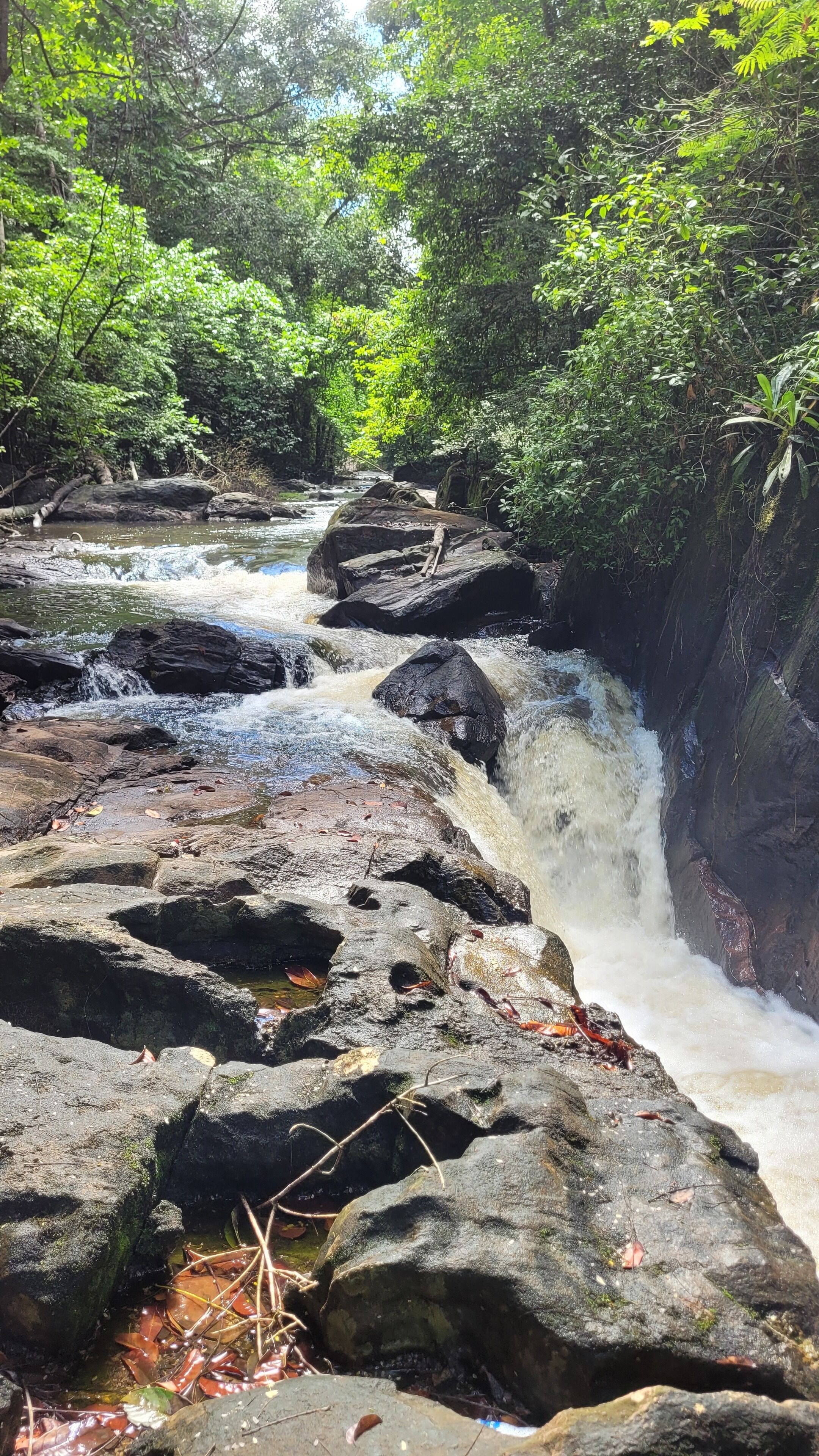 Foto - Greenheart Boutique Hotel