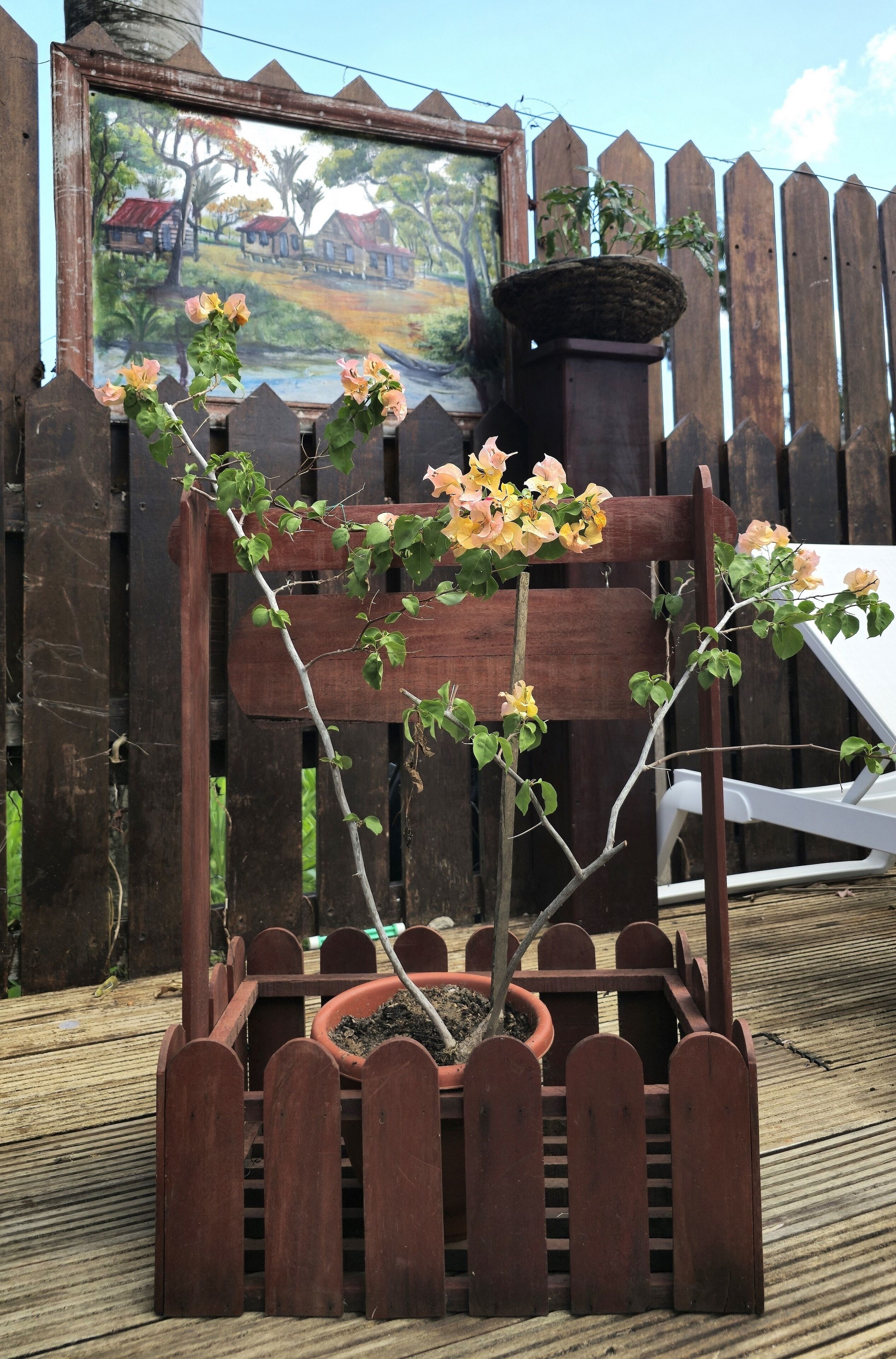 Foto - Greenheart Boutique Hotel