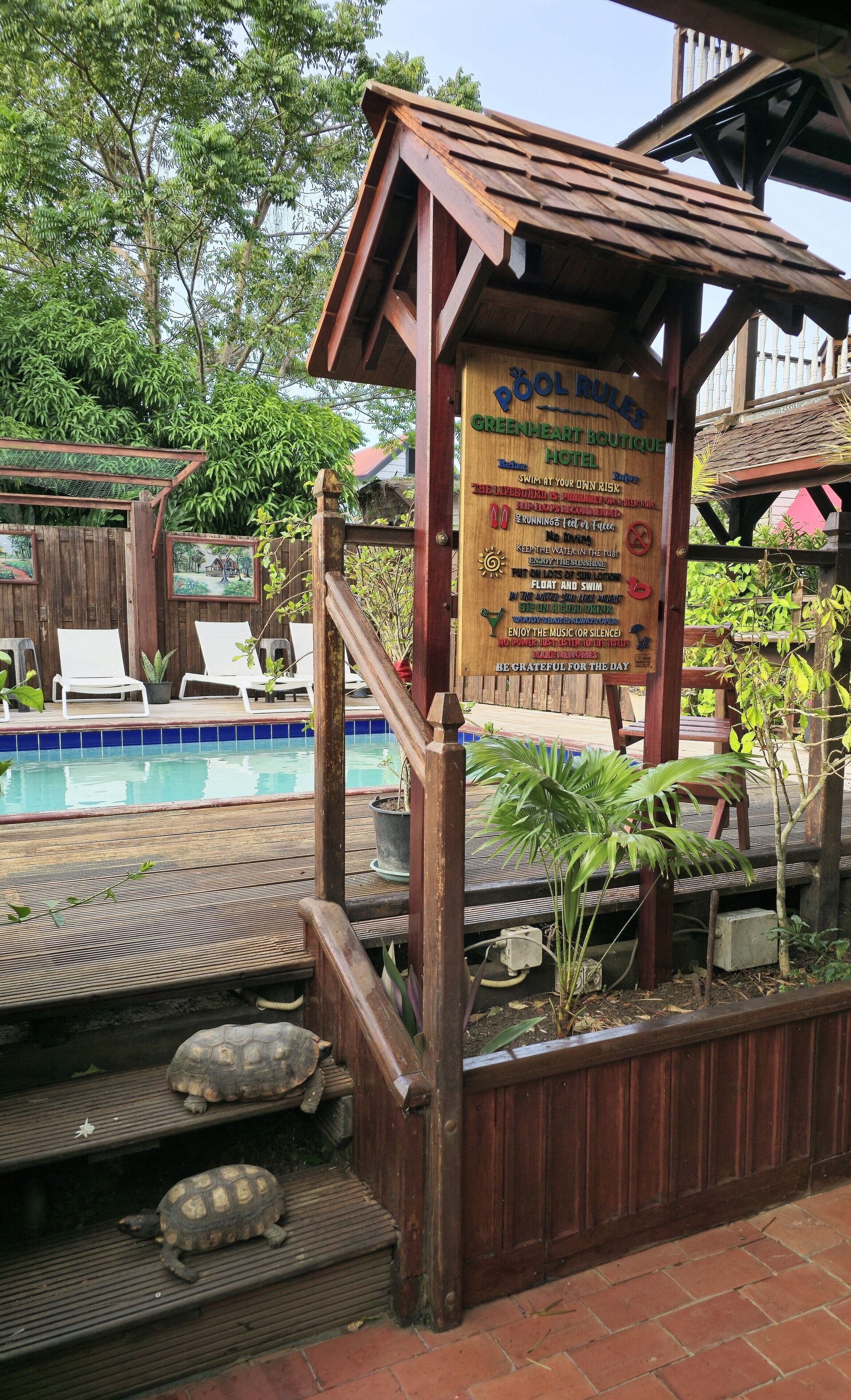 Ein Poolbereich mit Holzterrasse, Liegestühlen, einem Schild mit Poolregeln und einer Schildkröte auf den Stufen.