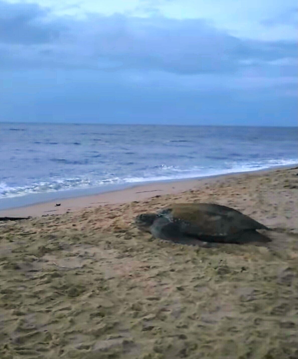 Foto - Greenheart Boutique Hotel