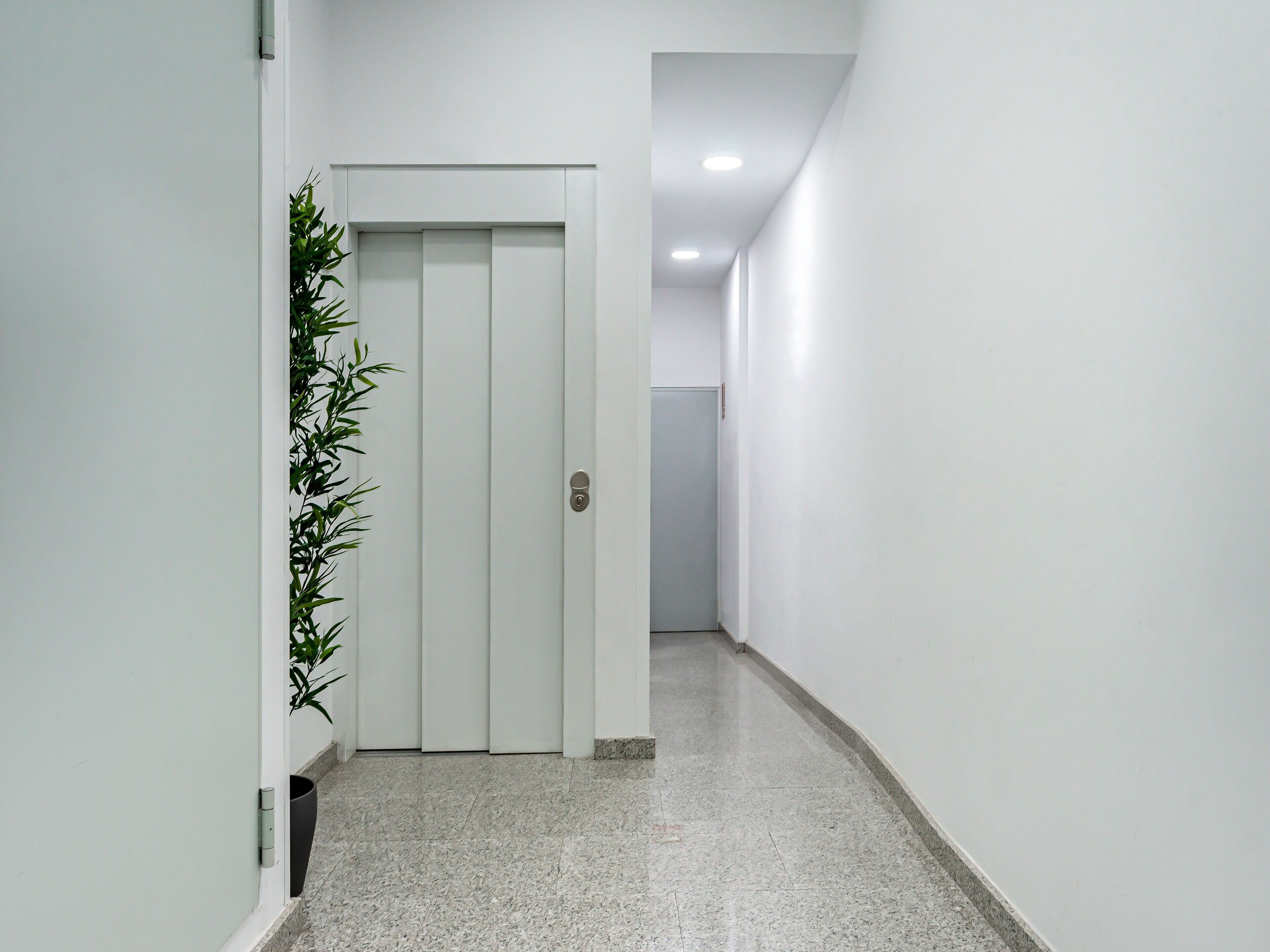 Un pasillo con una puerta blanca, una planta en maceta y suelo de baldosas.