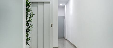 Un pasillo con una puerta blanca, una planta en maceta y suelo de baldosas.