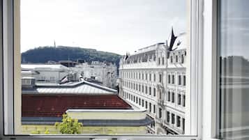Standard Double Room, City View | City view