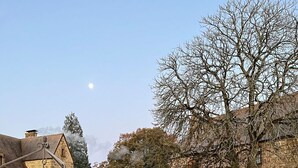Um pátio com edifícios de pedra, uma árvore grande e vegetação esparsa.