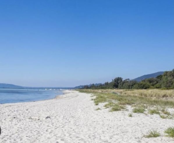 Enjoy a serene beach experience with access to the ocean.