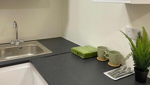 A kitchen with a stainless steel sink, a black countertop, a green dish soap, two green mugs, and a potted fern. - Impeccable Studio Apartment in West London (London)