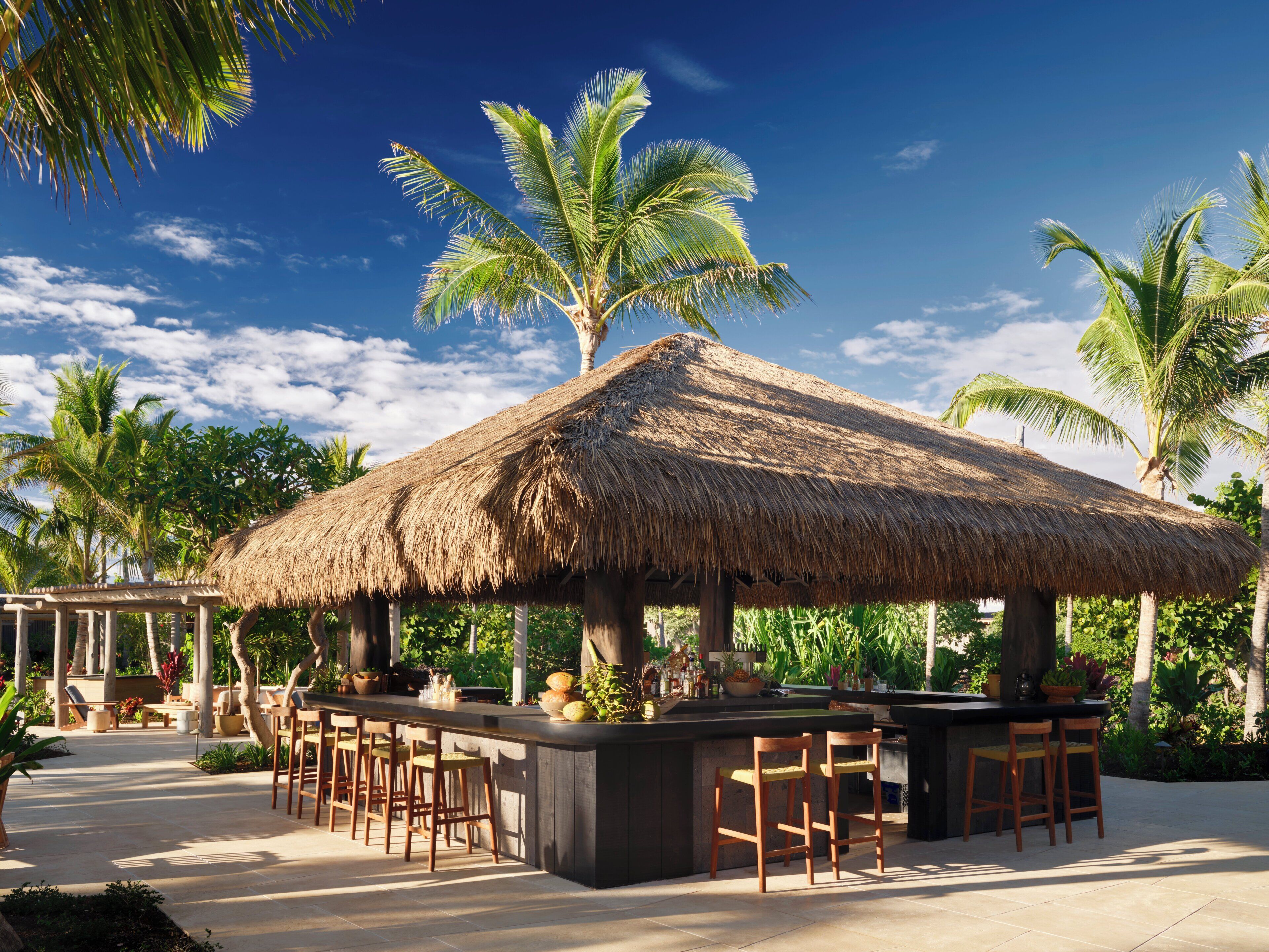 A thatched-roof outdoor bar area with wooden stools and a concrete counter, surrounded by palm trees and tropical plants.