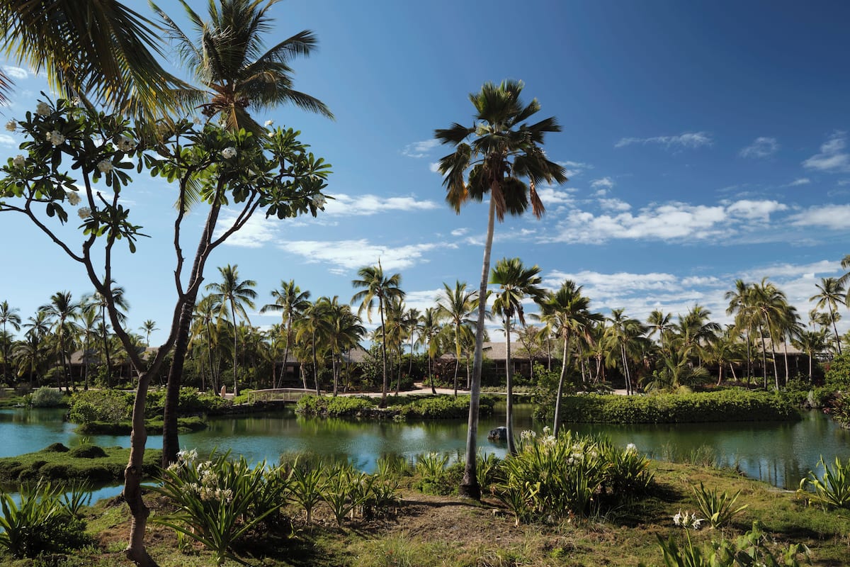A tropical landscape with a calm lake, palm trees, and a small bridge.