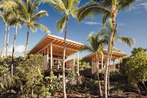 Boomhut, 1 kingsize bed (Tree Top King Hale) | Lakens van Egyptisch katoen, luxe beddengoed, donsdekens, een minibar