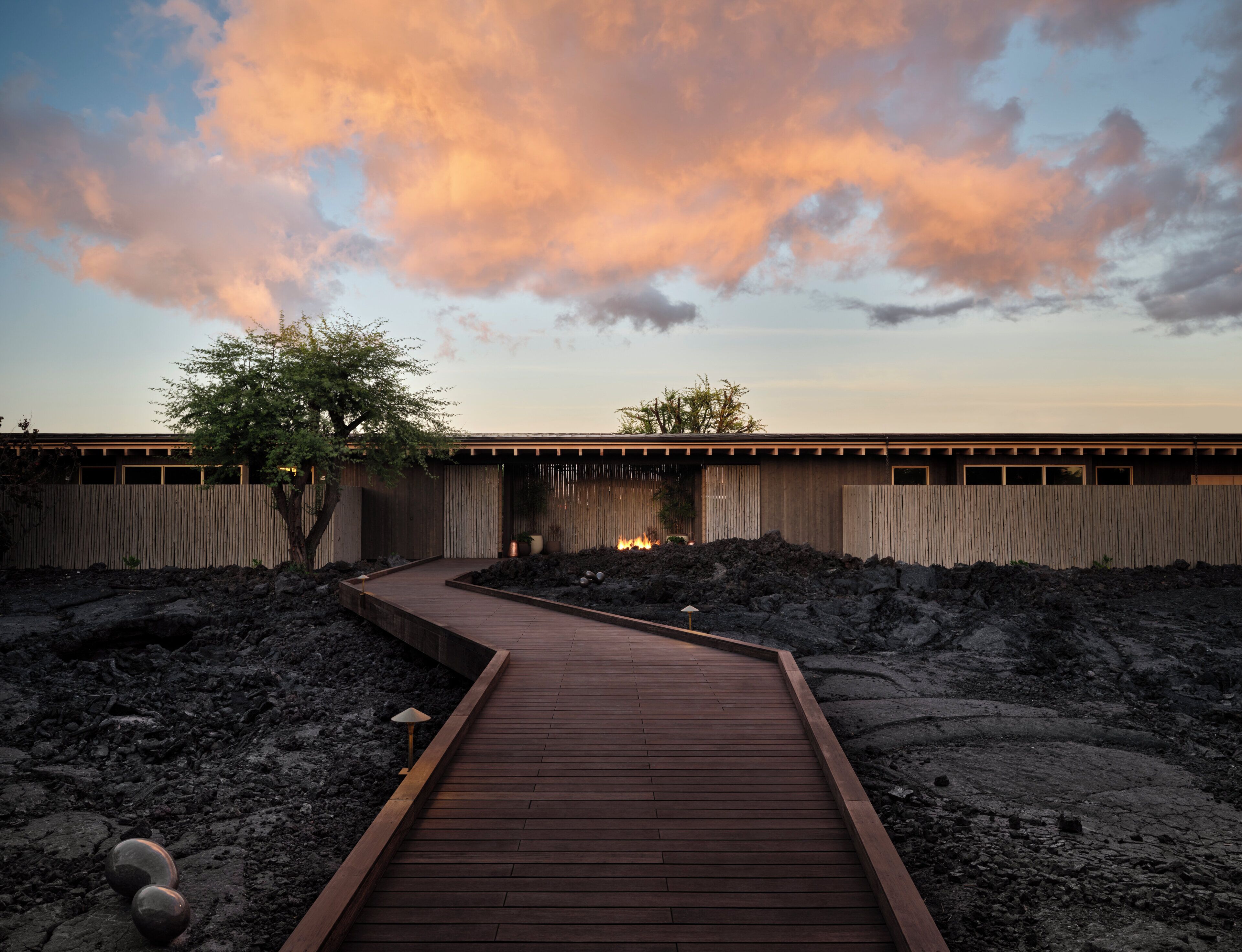 A wooden pathway leading to a building with a corrugated metal fence and a tree in the foreground.