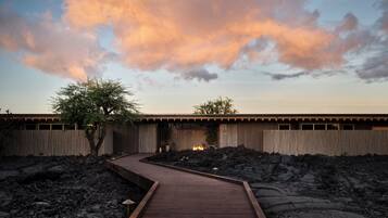 A wooden pathway leading to a building with a corrugated metal fence and a tree in the foreground.