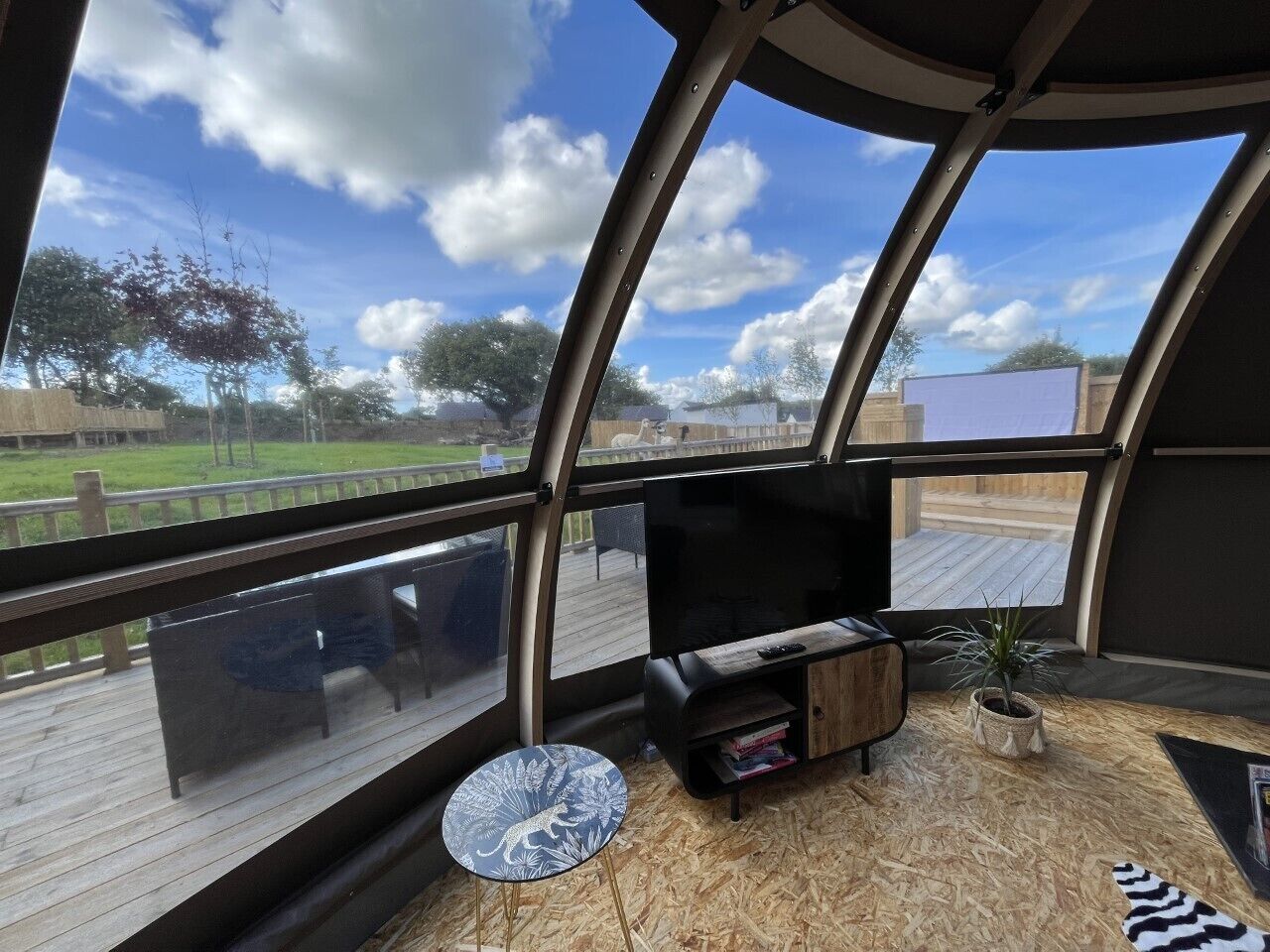 Un intérieur de camping-car moderne, doté d’une grande fenêtre, d’un téléviseur à écran plat, d’une petite table en bois et d’une plante en pot.