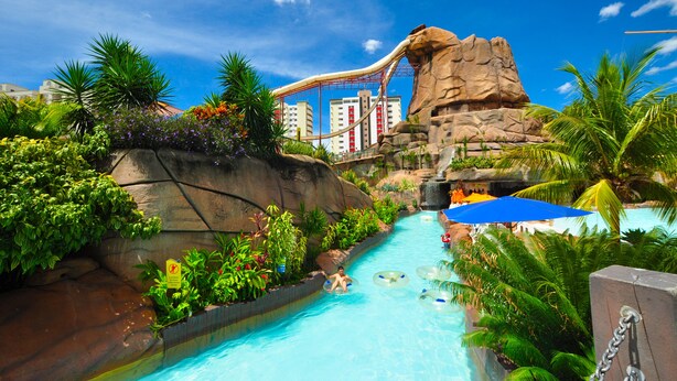 Un parc aquatique doté d’un toboggan aquatique, d’une piscine et d’une végétation tropicale.