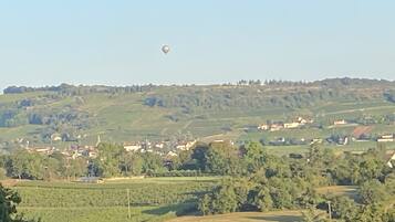 Un ballon à air chaud dans le ciel, au-dessus d’un paysage rural avec des maisons et des champs.