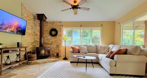 Smart TV, fireplace, books