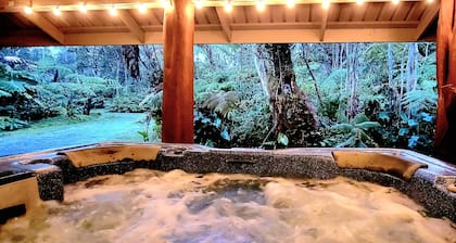 Rainforest Retreat w/Outdoor Fireplace & Hot Tub