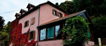 Appartement au Calme Dans la Nature en Alsace