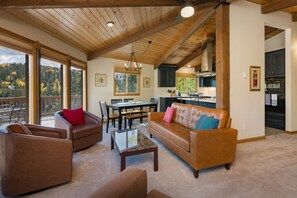 TV, fireplace - Cabin on Columbine Lake - Large deck - Hot Tub/Views  - 1 mile to Purgatory (Durango)