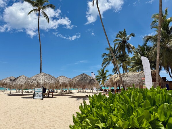 Sun-loungers, beach towels