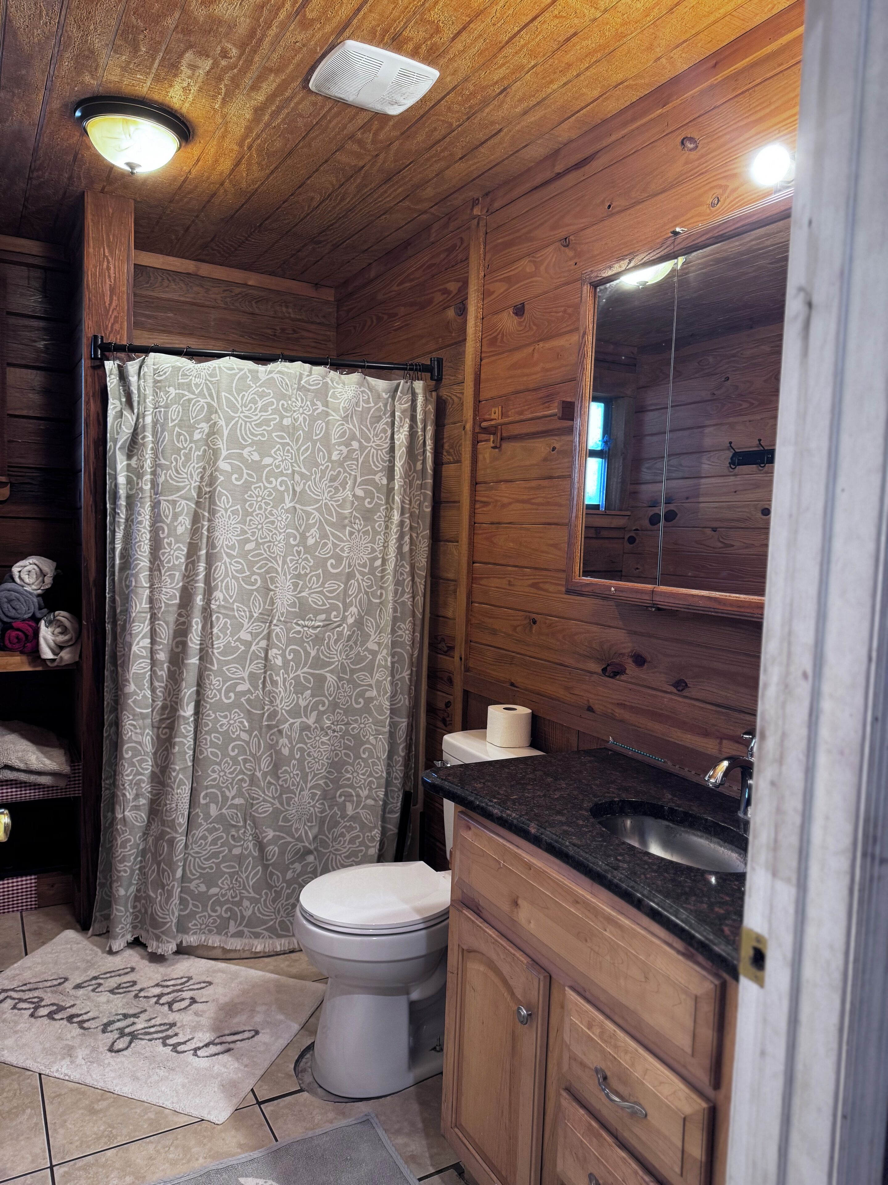 Shower, towels, toilet paper