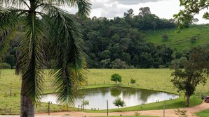 Un parque tranquilo con un estanque, mesas de picnic y una palmera.