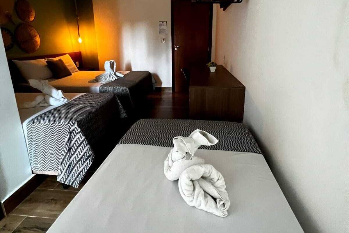 Habitación de hotel con cama, sofá, una mesita y estante en la pared.