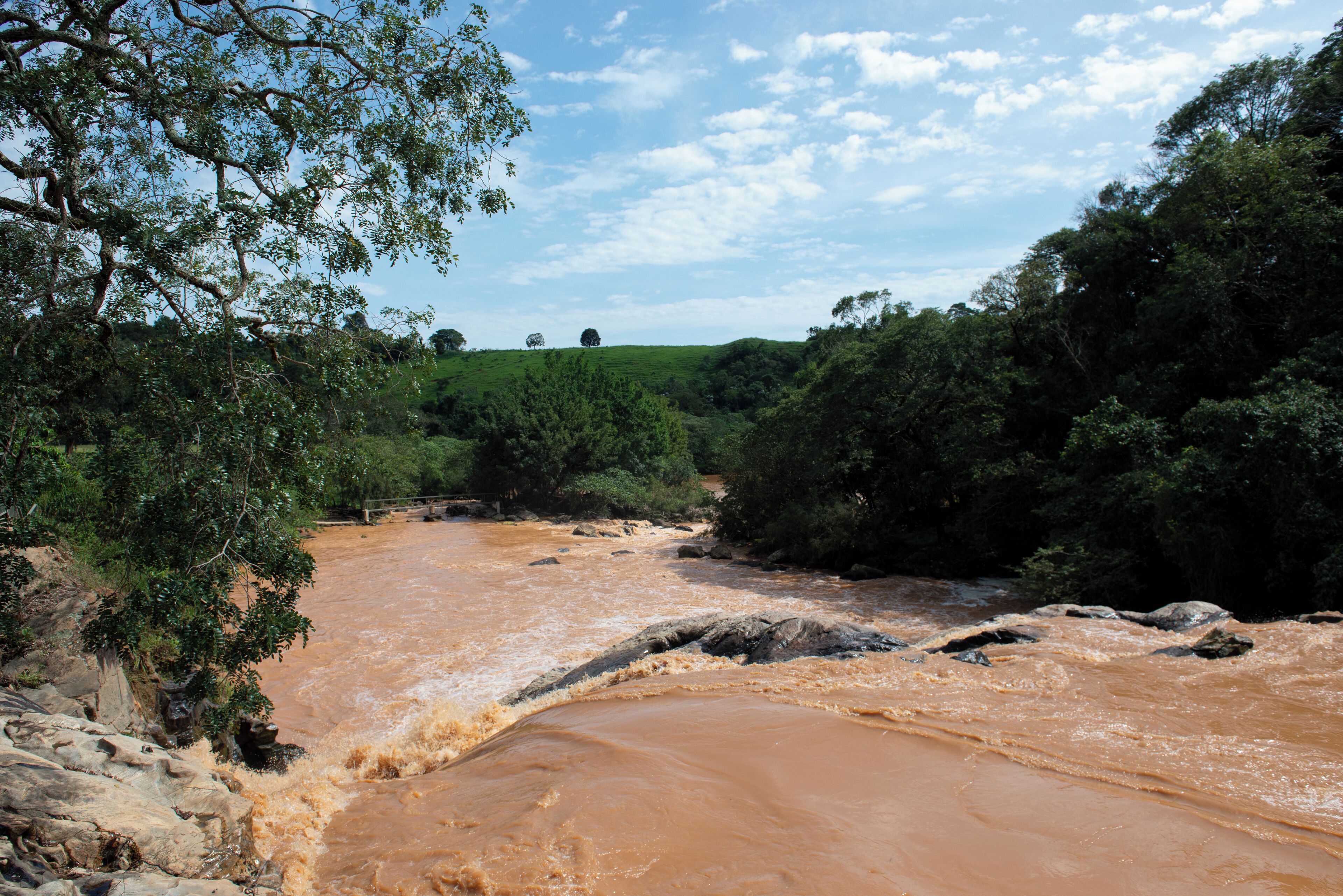 A river with a rocky bed and surrounding greenery.