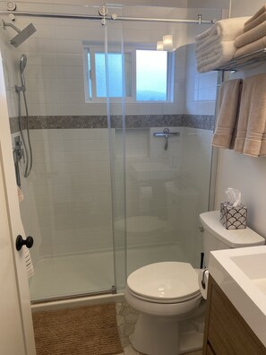 Shower, hair dryer, towels - Apt 13: Unique unit steps to the beach, minimum 31 day rent (Carpinteria)