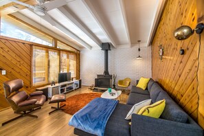 Smart TV, fireplace, DVD player, music library