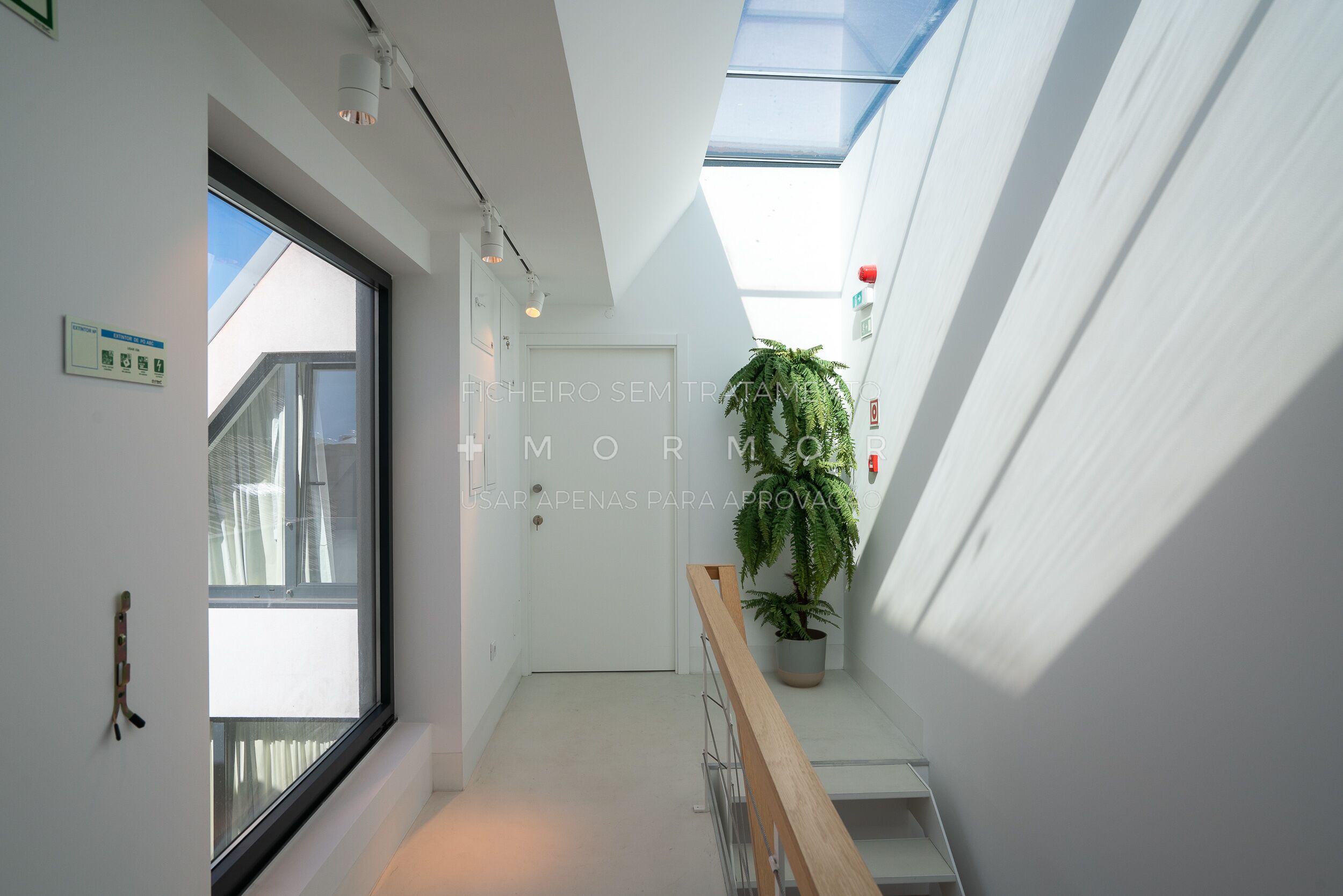 A narrow hallway with a skylight, a potted plant, and a wooden railing.