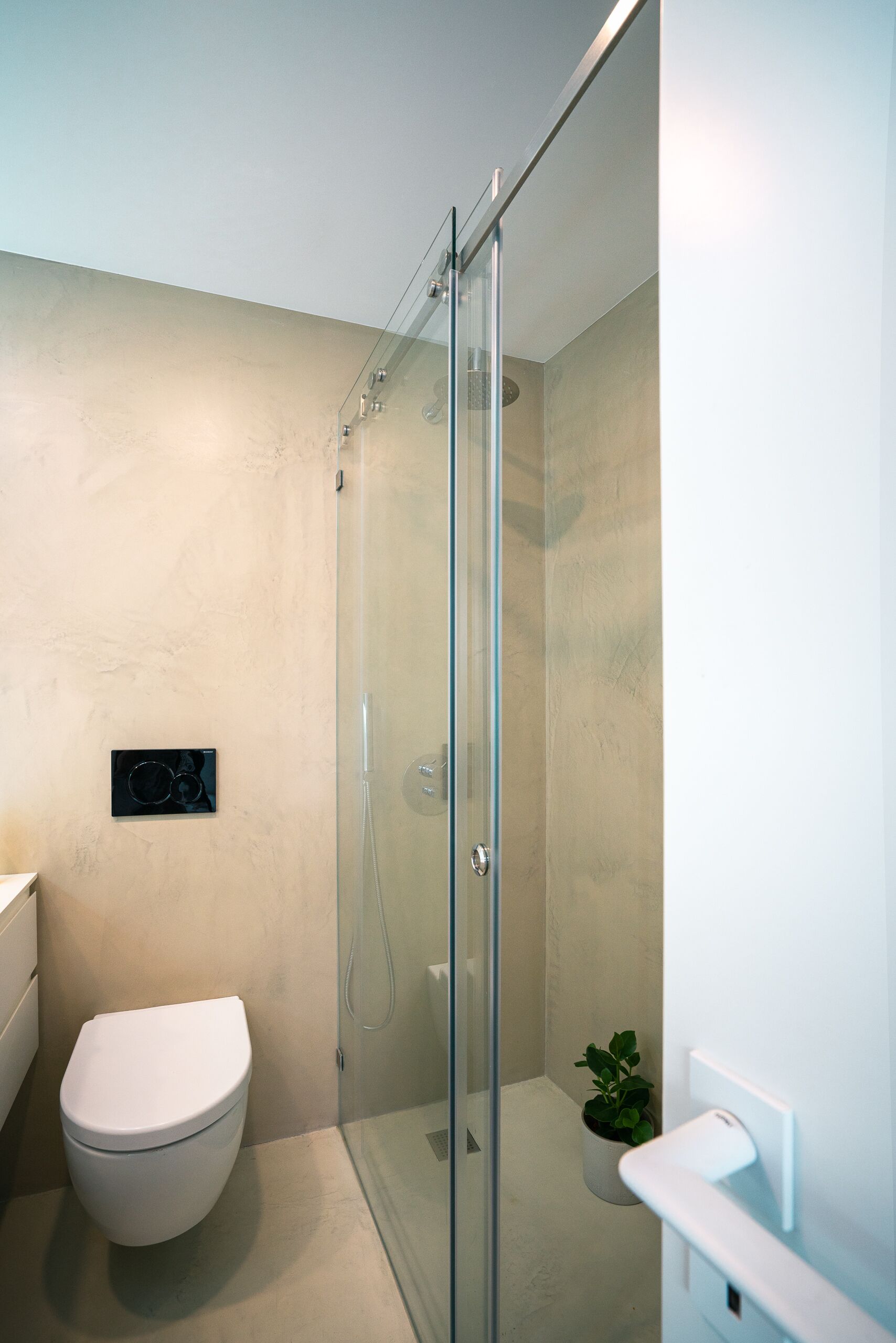 A modern bathroom with a glass-enclosed shower, a white toilet, and a small potted plant.