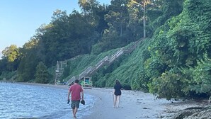 A beach with a wooden staircase leading up to a platform, surrounded by dense greenery. - Riverfront Cottage w/ Private Beach Near Wmsburg (Surry)