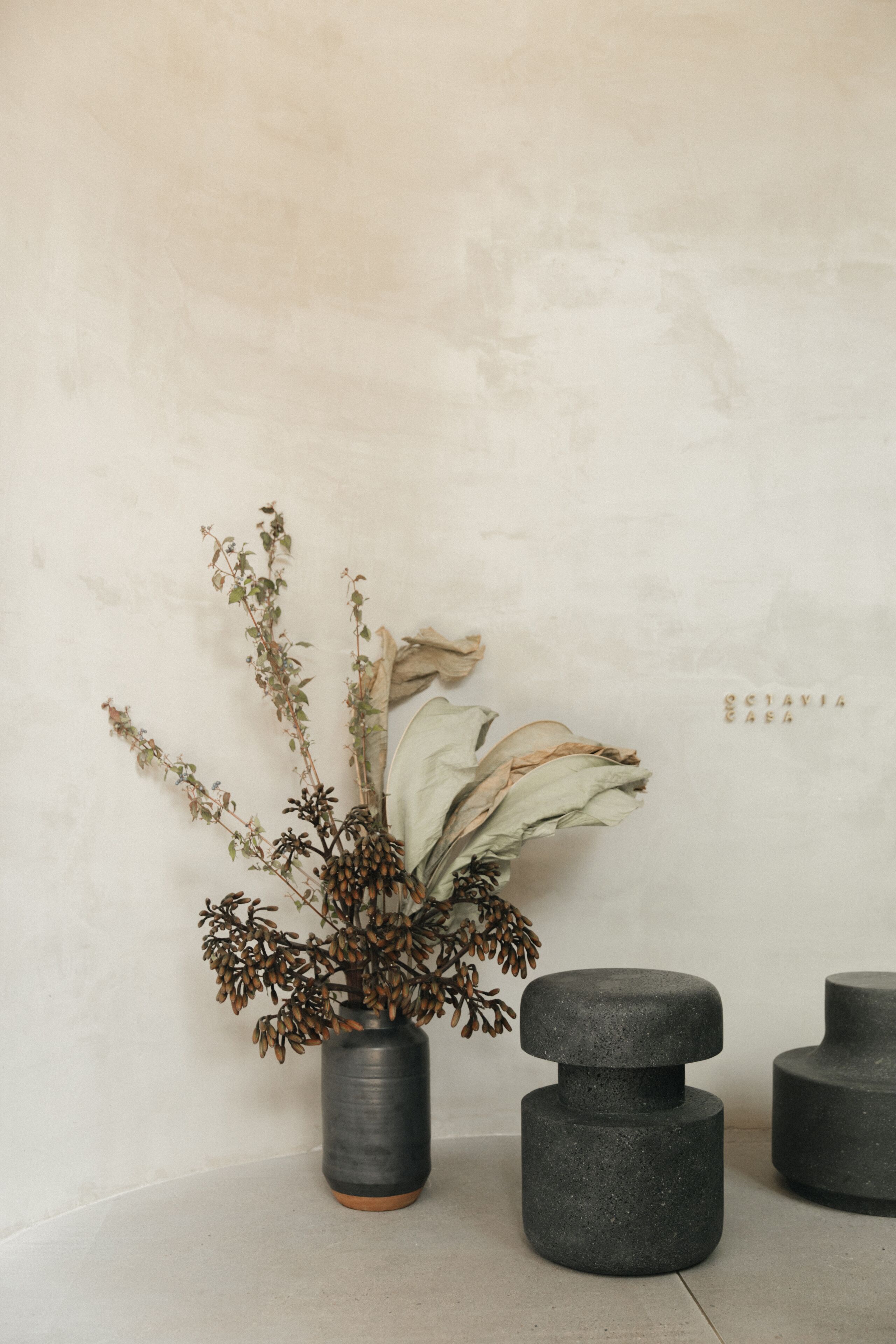 Photo - Octavia Casa