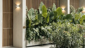 Un bâtiment moderne doté de lambris en bois verticaux et d’un jardinier contenant des plantes tropicales.