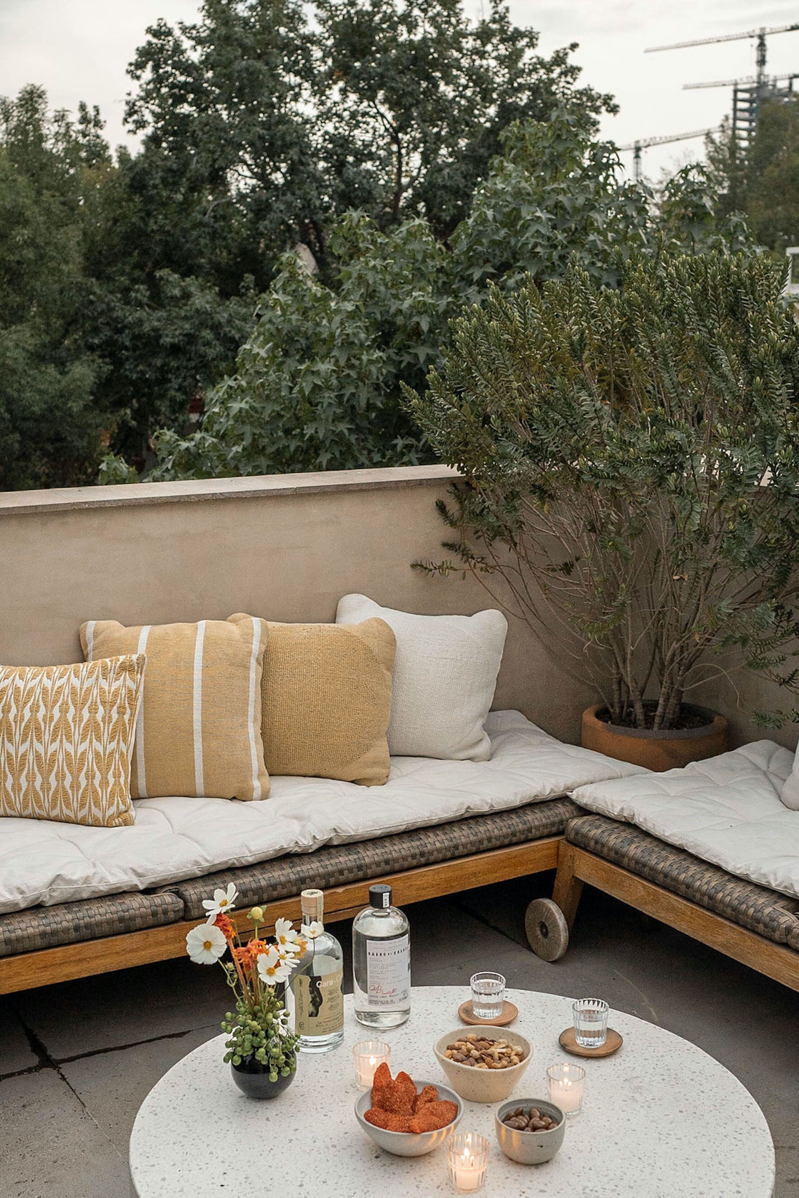 Photo - Octavia Casa