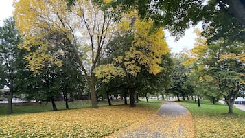 Terrain de l’hébergement