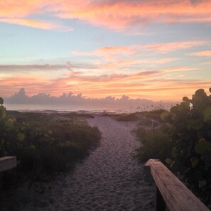 A sandy path leading to a beach with a wooden fence on one side.