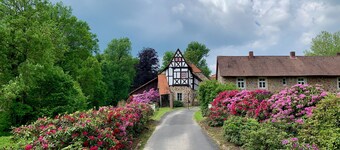 Quiet vacation apartment with wood-burning stove, sauna, garden & terrace on historic estate. Castle courtyard