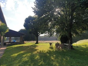 Área da propriedade