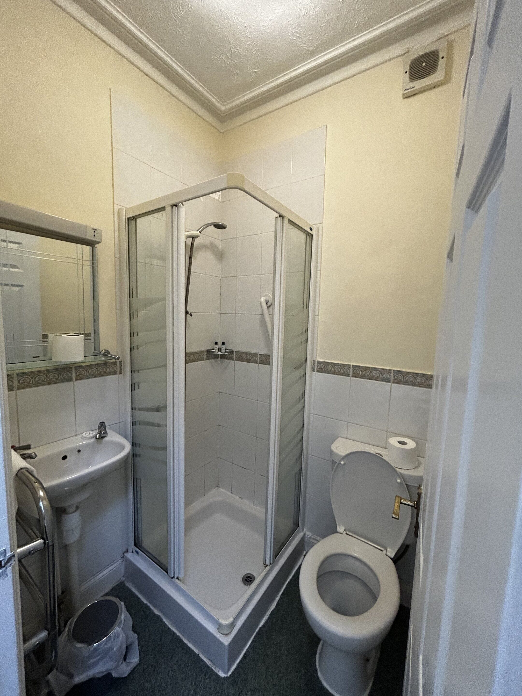A bathroom with a shower, toilet, sink, and a mirror.