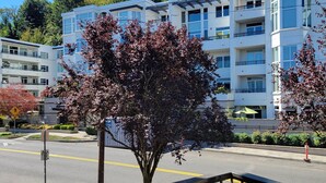 A multi-story building with balconies, a pedestrian crossing, and trees with red leaves. - Beautiful Space in the Heart of NW Portland's Alphabet District (Portland)