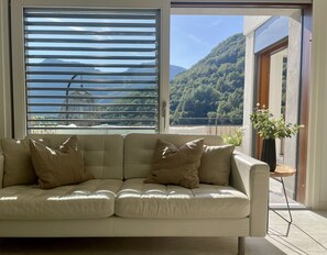 Smart TV, caminetto, lettore DVD, libri