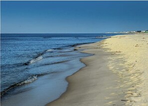 Nära stranden