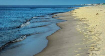 Here Comes the Sun at The Rookery III, Pet Friendly!