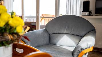 Télévision, cheminée, lecteur de DVD, livres