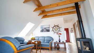 TV, fireplace, DVD player, books