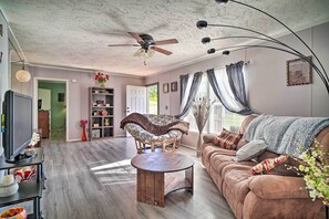 TV, video games, DVD player, video library