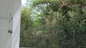 A white door with a metal handle and a keyhole, leading to a view of a dense green hedge and a metal fence. - G Apartments (Willemstad)