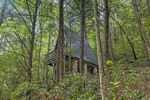 Fern Grove - Camping Cabin Retreat in RRG KY!