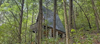 Fern Grove - Camping Cabin Retreat in RRG KY!